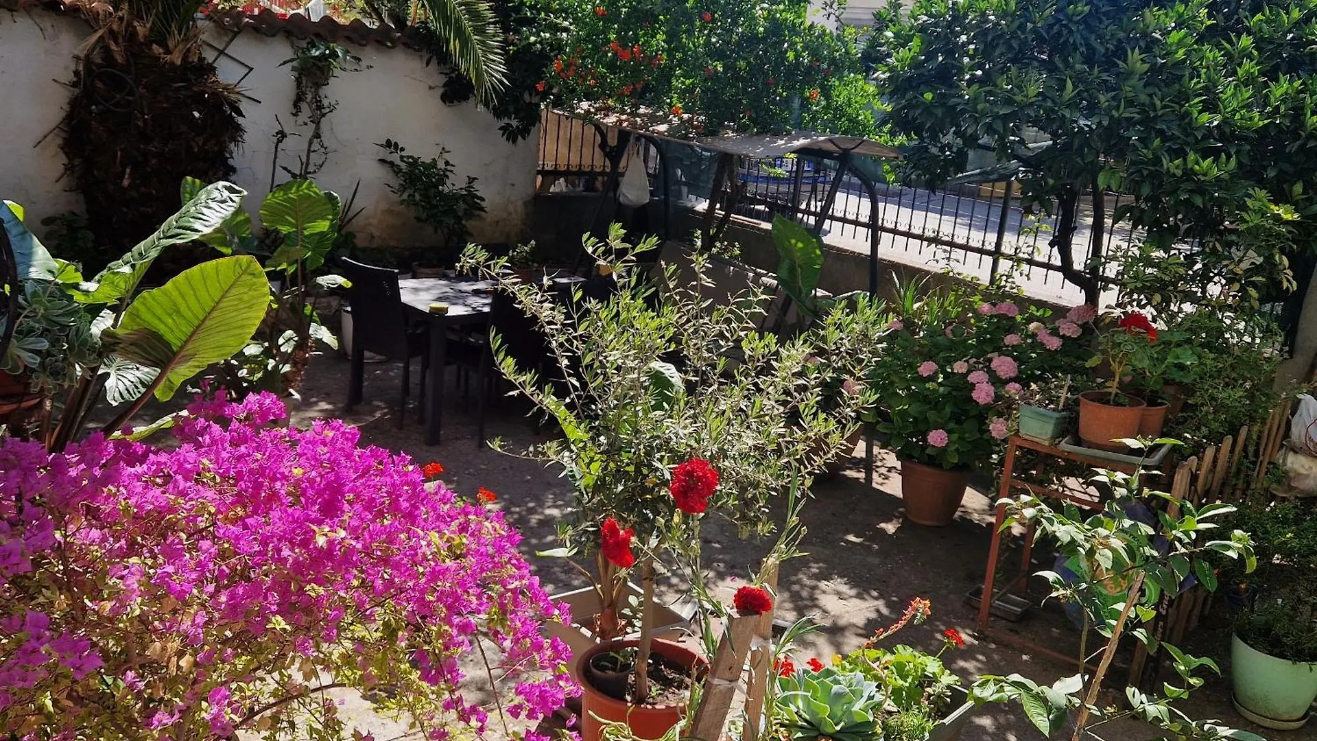 Garden Apartment Tirana
